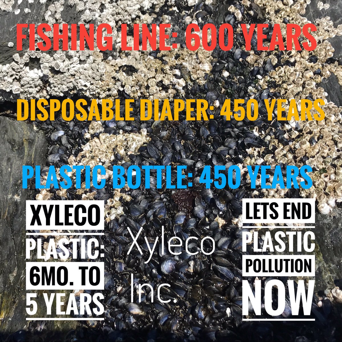 Xyleco, Inc. tweet media