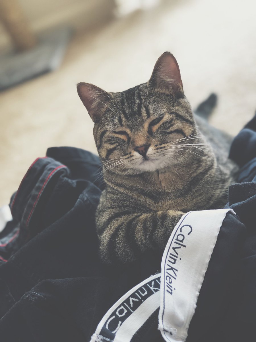 maddsssness's tweet photo. Hey @CalvinKlein , I found you a cute but fierce new model. https://t.co/yNk6vSJhGM