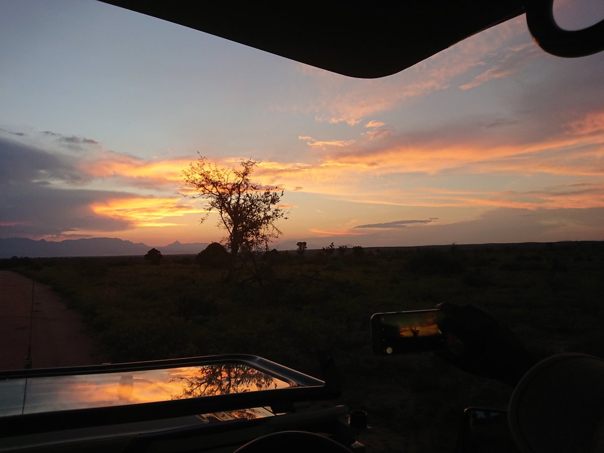 georgiehall2395's tweet image. I'm so happy to be back working this semester! Time to kick it up a gear 💪🏻🦁🇿🇦

#bushwise #fgasa #iamfgasa #Wildlife #conservation #africa #southafrica #safari #sunset #landscape #travel #adventure #holiday #vacation #gamedrive #backtowork #myoffice #itnevergetsold