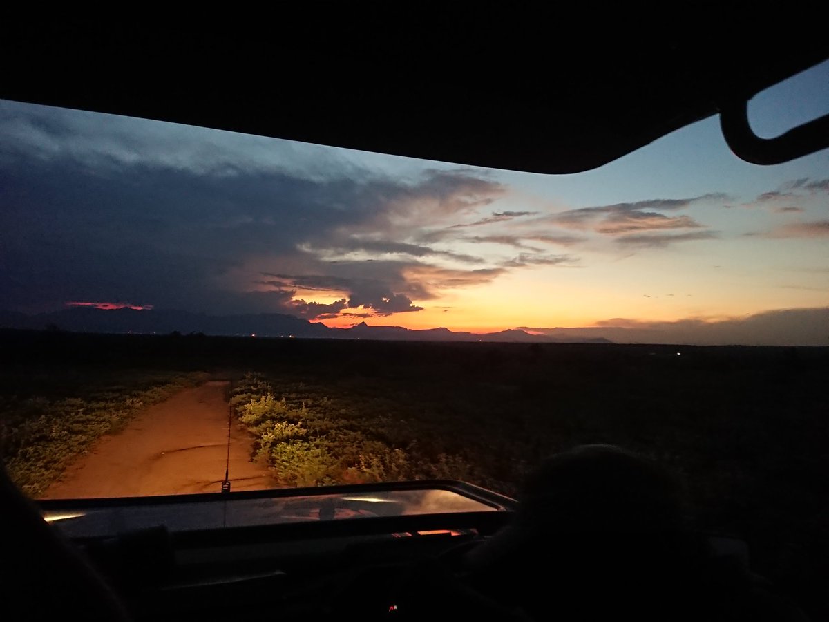 georgiehall2395's tweet image. I'm so happy to be back working this semester! Time to kick it up a gear 💪🏻🦁🇿🇦

#bushwise #fgasa #iamfgasa #Wildlife #conservation #africa #southafrica #safari #sunset #landscape #travel #adventure #holiday #vacation #gamedrive #backtowork #myoffice #itnevergetsold