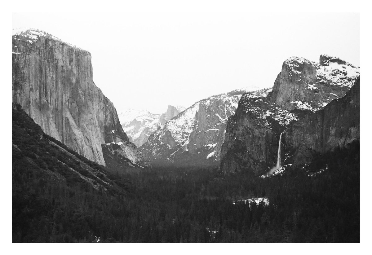 Adam Kopec ツ tweet media