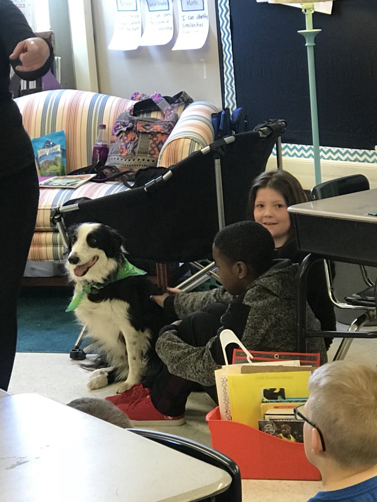 MsGholson's tweet photo. Patrick visited us today from @WaysideWaifs! He taught us about empathy towards animals and each other! We were amazed by his remarkable story and his cuteness! Thank you SO much @WaysideWaifs!! @Mill_Creek_ISD #isdstrong https://t.co/VV7d0BrPv4