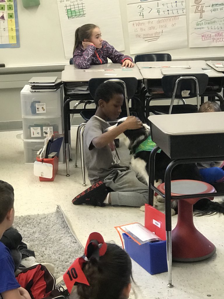 MsGholson's tweet photo. Patrick visited us today from @WaysideWaifs! He taught us about empathy towards animals and each other! We were amazed by his remarkable story and his cuteness! Thank you SO much @WaysideWaifs!! @Mill_Creek_ISD #isdstrong https://t.co/VV7d0BrPv4