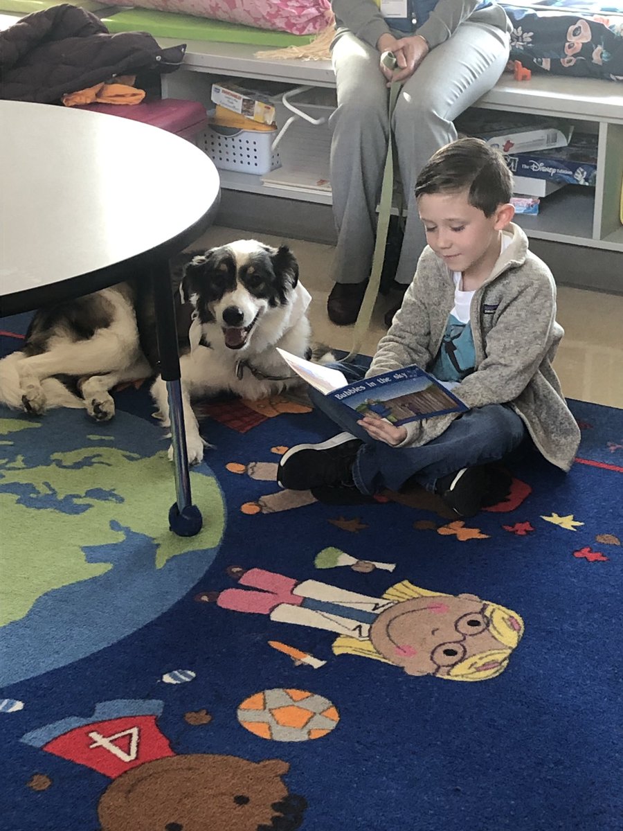 MissMooresClass's tweet photo. Such a precious moment! So grateful for the opportunity for our little learners to read to Dakota this morning! @BrownsvilleES @livermon https://t.co/NG22zGevE7