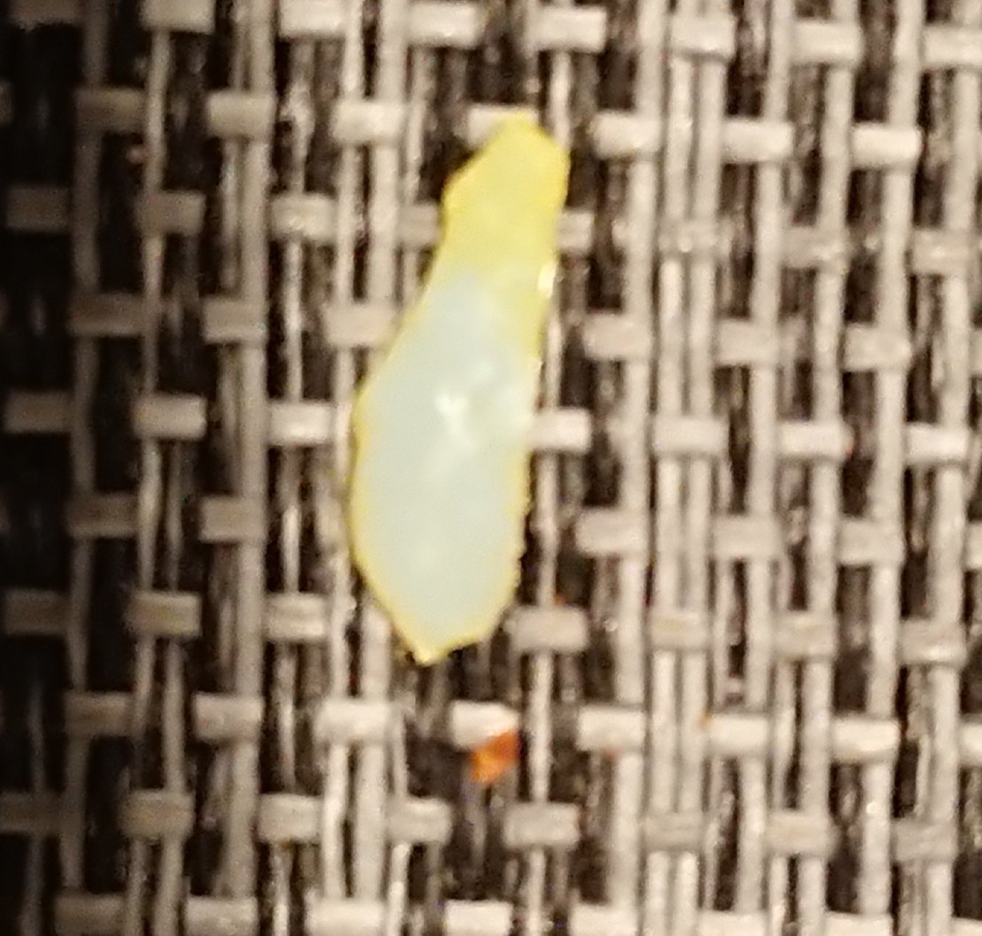 _Ruppa's tweet photo. @asda purchased this salad today and my husband ate the plastic that was mixed in with the salad. Not good https://t.co/TSHDTNDi1A
