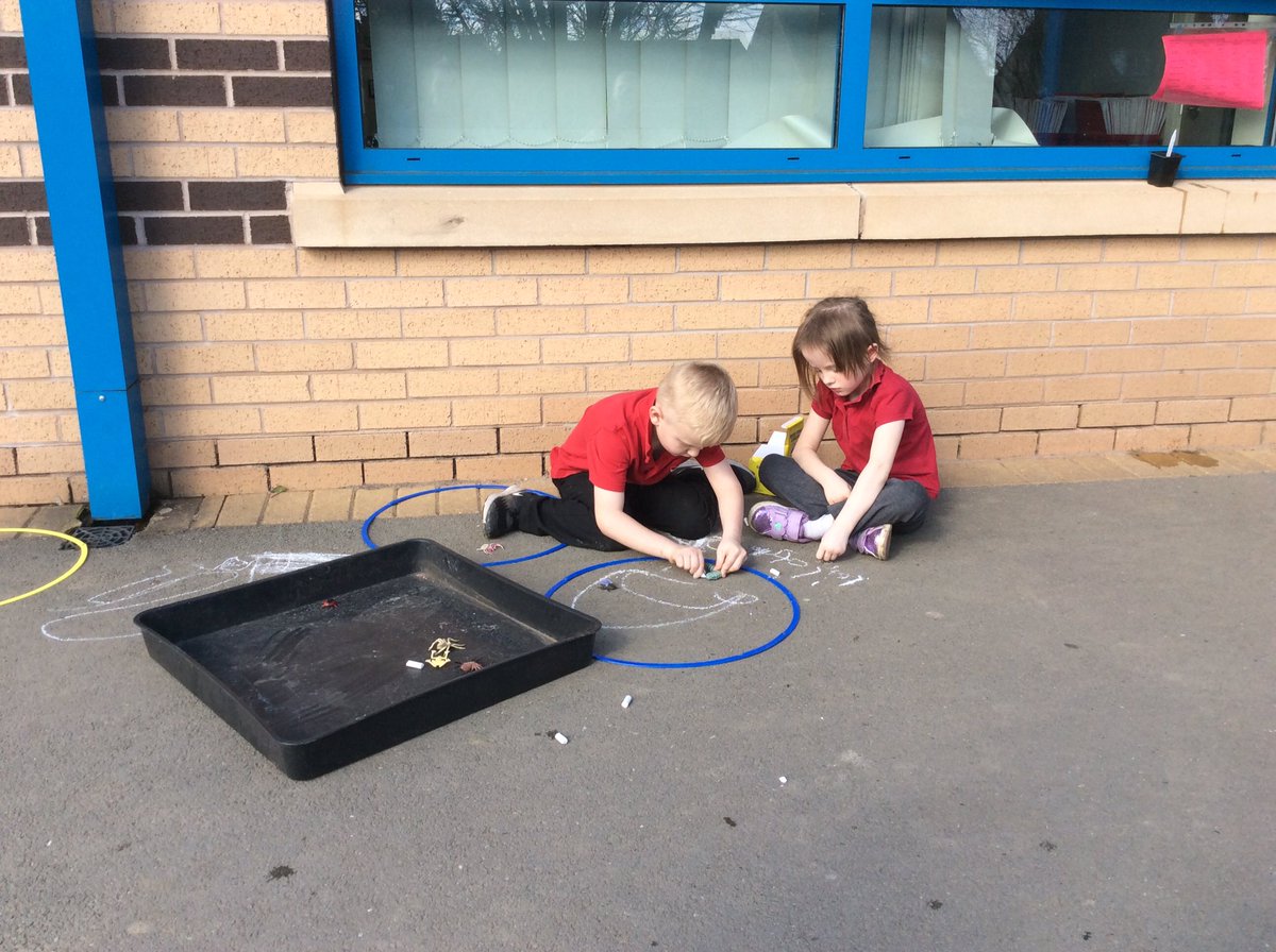 TheEllisY5's tweet photo. Finding and sorting minibeasts. #sciencekids #supersorting #outdoorclassroom https://t.co/79YFK4Th5u