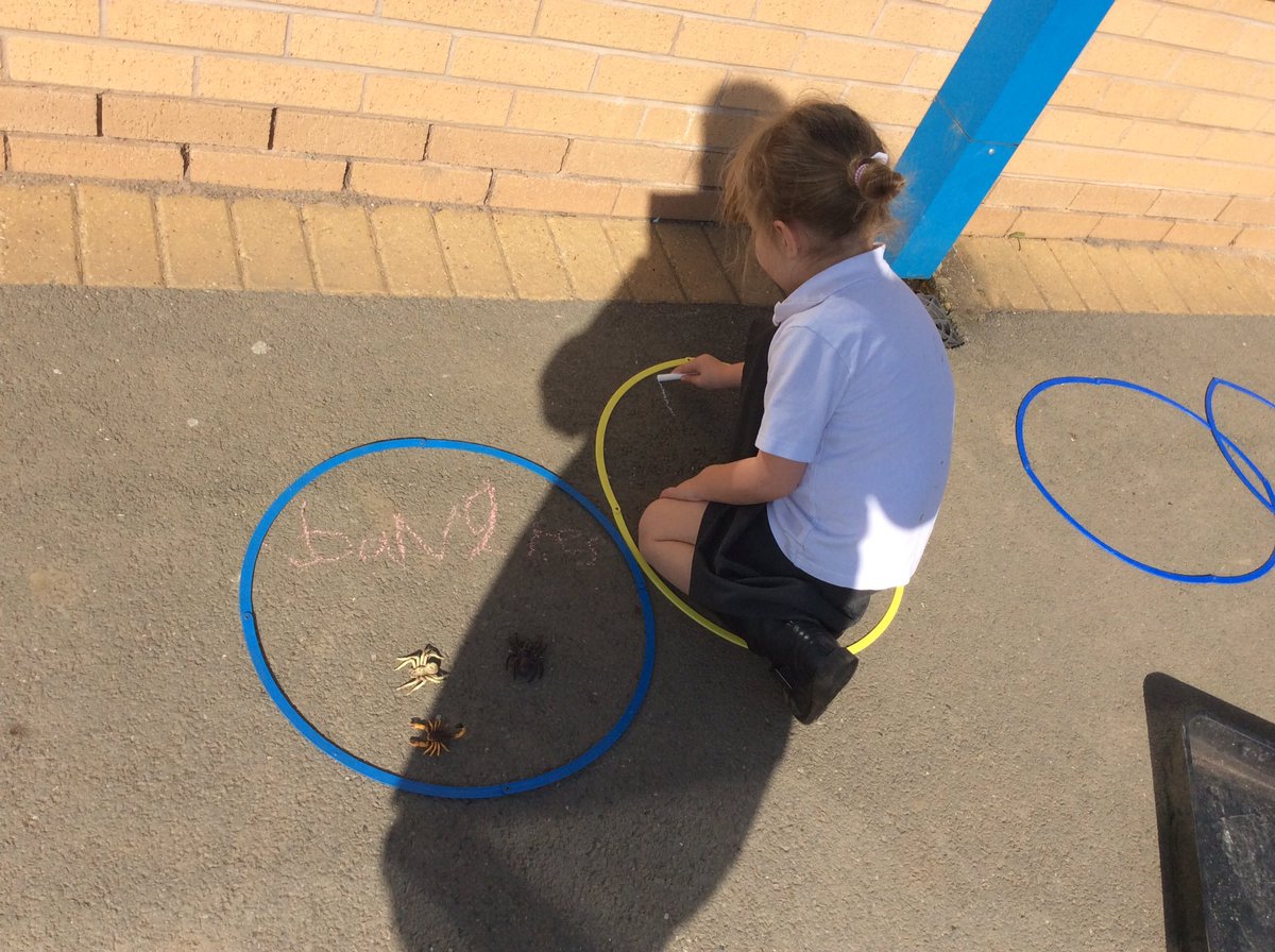 TheEllisY5's tweet photo. Finding and sorting minibeasts. #sciencekids #supersorting #outdoorclassroom https://t.co/79YFK4Th5u
