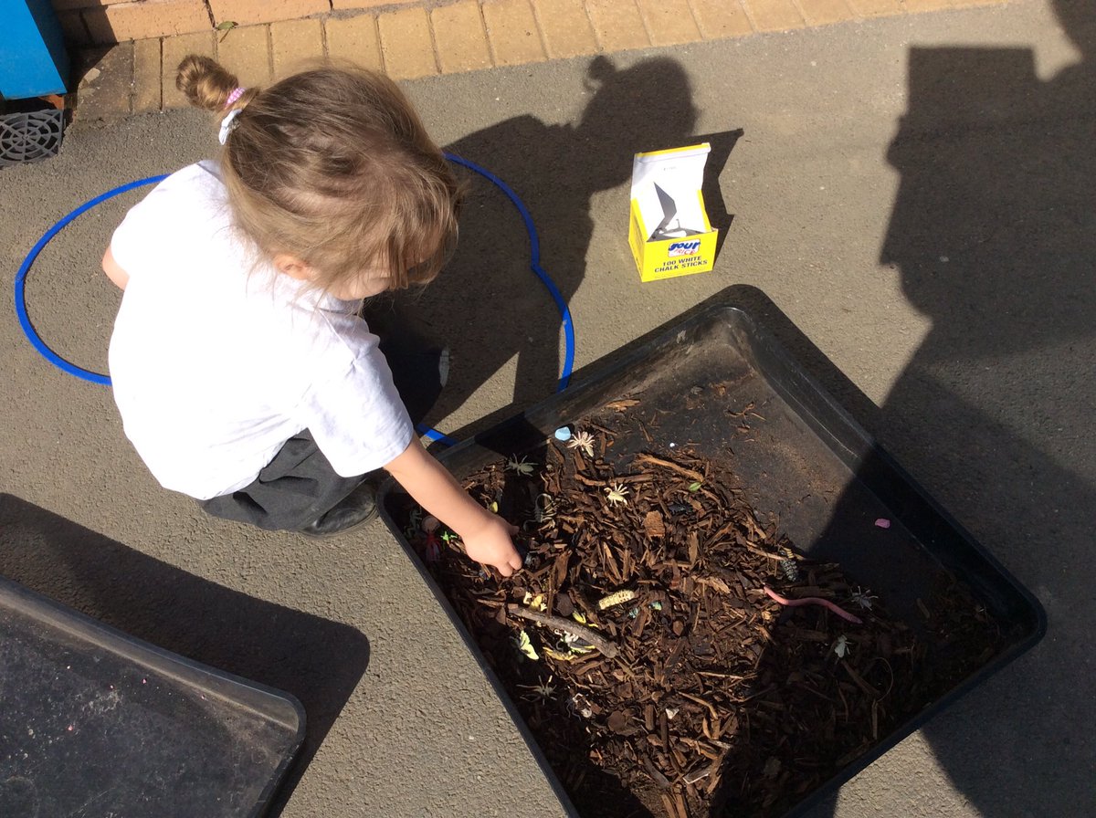 TheEllisY5's tweet photo. Finding and sorting minibeasts. #sciencekids #supersorting #outdoorclassroom https://t.co/79YFK4Th5u