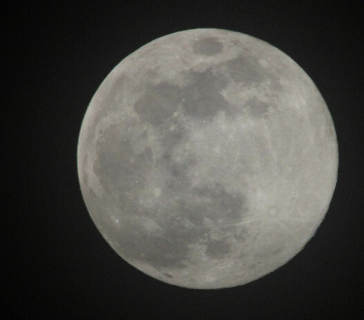 cadders7's tweet photo. 100%
#moonytime ..
Yet the full moon is tomo night ...
ππππ·β
Maximum effort .. https://t.co/rF3YZEnCVN