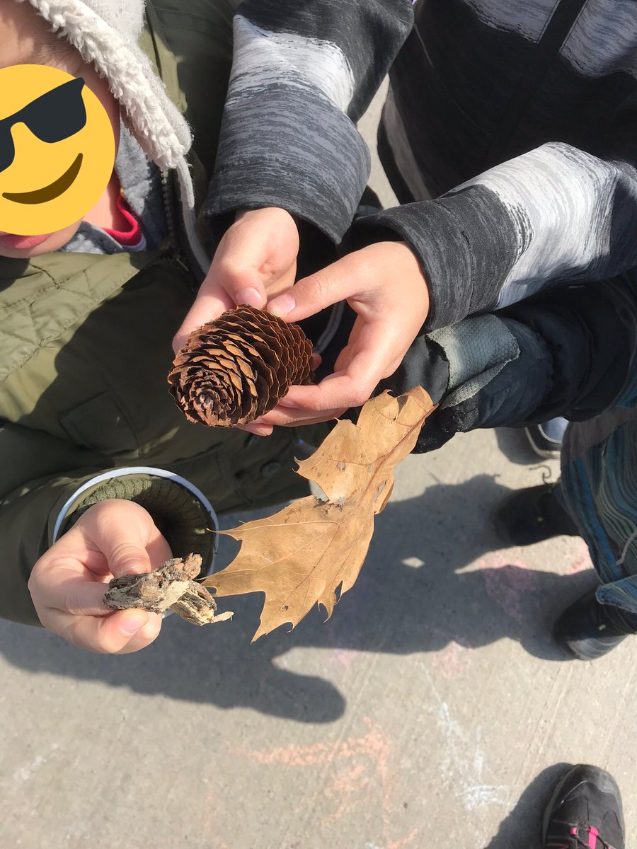 SESKinders's tweet photo. Building bug houses ๐ ๐ ๐ท. Lots of nature collecting. We even have our first resident; a ladybug ๐ Happy Spring! #outdoorlearning #YRDSBEarlyYears #YRDSBGetOut https://t.co/aecdGcaRIV