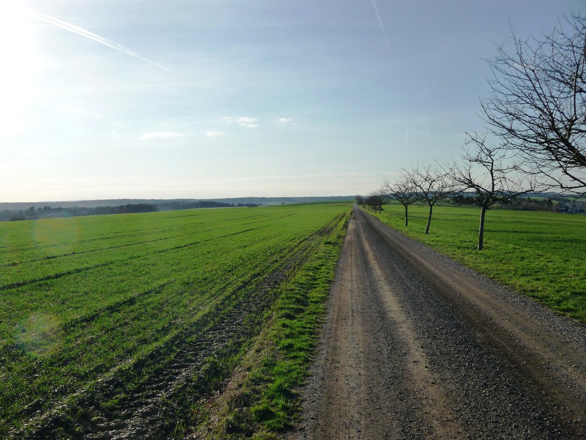FrankCycle1's tweet photo. #WisperRunde😎😎😎
#Rüdesheim #Johannisberg #Stephanshausen #Presberg #Ranselbachtal #Schwarzenberg #Geroldstein #Falkenhof #Dickschied #Nauroth #Zorn #Strüth #Welterod #Lipporn #Rettershain #Weisel #Kaub #Lorch #Assmanshausen https://t.co/BU1PZAElDL