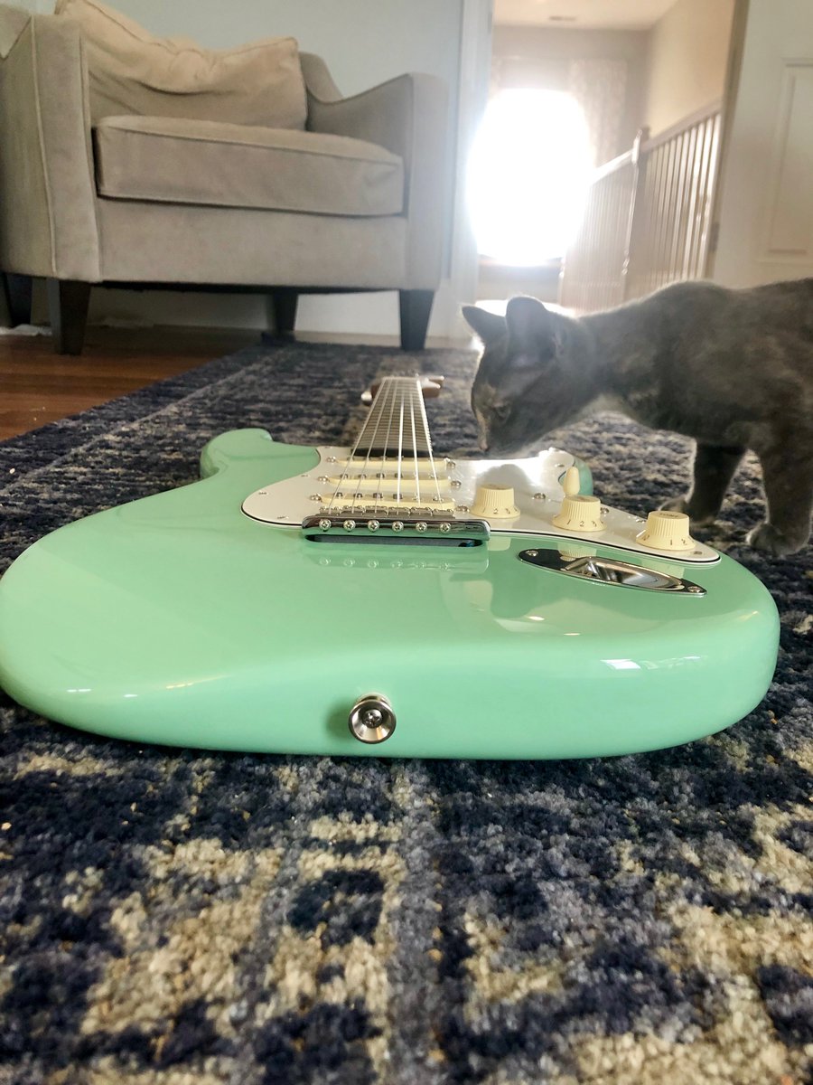 JackOBeam's tweet photo. #newgearday @sweetwater @fender #surfgreen thanks Ian! #dickdalerip https://t.co/3HD3CmSVAt