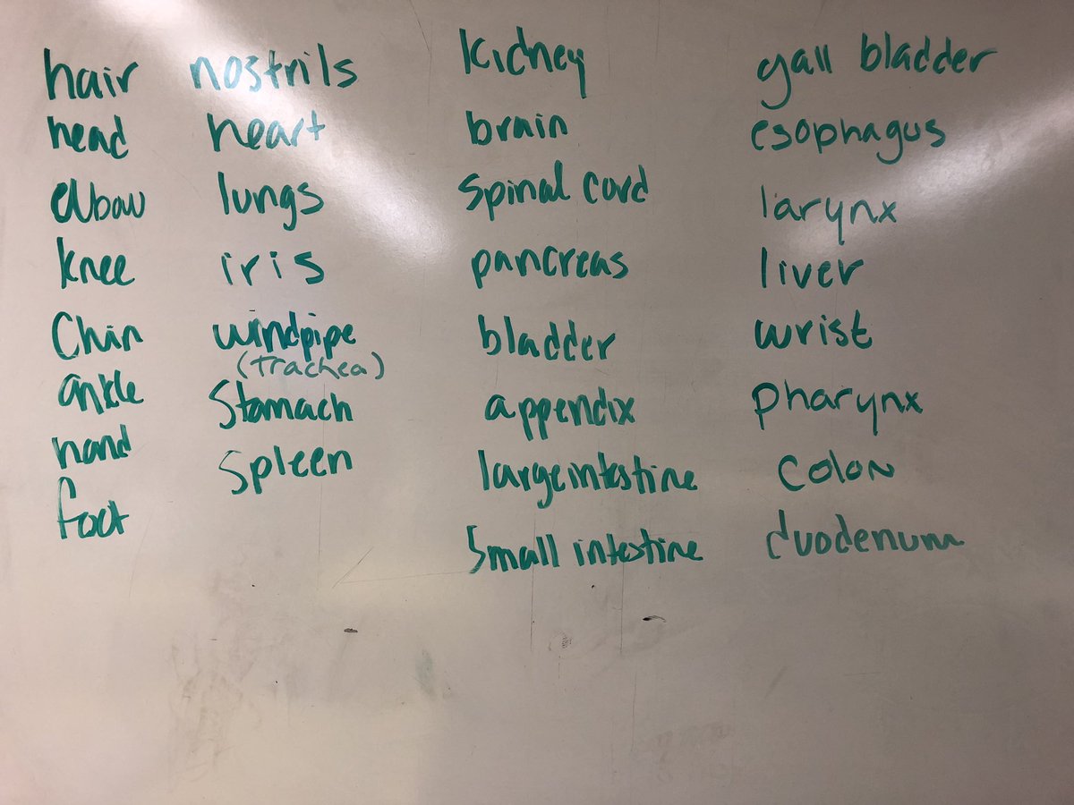 WestLeeMSPride's tweet photo. Today in one of Mr. Adams’ classes students traced one another and labeled various parts of the Human Body! #MakingScienceFun #PrideProjects https://t.co/t37INZhXbB