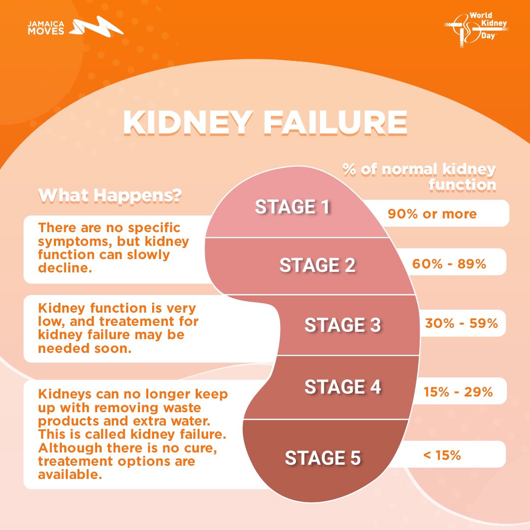 jamaica_moves's tweet photo. Chronic kidney disease (CKD) is a significant national health problem. It is estimated that about 10% of Jamaicans with Diabetes, will end up with end-stage renal disease (ESRD), known as the final stage of the disease.
#JamaicaMoves #BeatNCDs #Move4Kidneys #WorldKidneyDay2019 https://t.co/nZzNQkwf47