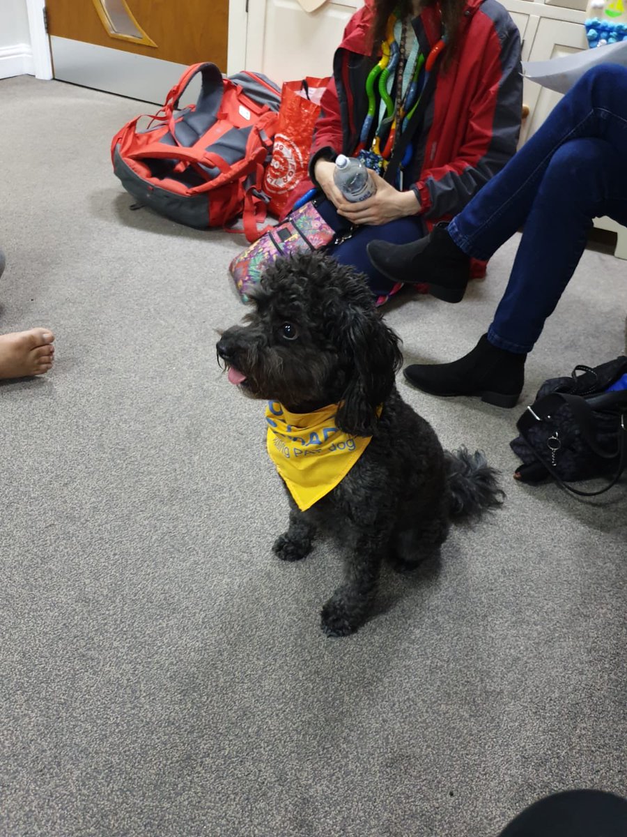 Jamieloucooper's tweet photo. Laurel court had a lovely visit from Wilf, our pet therapy friend @RiversideUK @VicSalm @Eliselufc https://t.co/G0jE98b0N7