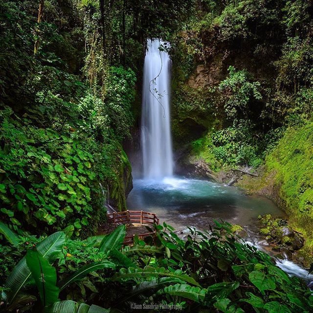 RichCoastVIP's tweet image. Just another day in paradise 💚🍃
.
📍 Cataratas De La Paz #Waterfalls.
📸 @juansanabria_photography.
.
.
.
.
.
.
.
.
.
.
.
.
.
.
#costarica #vacation #travel #visitcostarica #travelinspiration #beautifulplaces #puravida #photooftheday #beach #sun #sea #… ift.tt/2ThfDTj