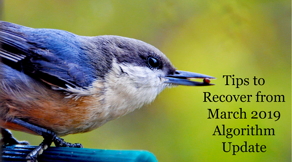 ManikandanNSEO's tweet photo. Are you impacted by #March2019CoreUpdate #GoogleAlgorithm?
Here is a #SOLUTION.
Tips to #Recover from "Google March 2019 Algorithm Update" – ASAP - https://t.co/HDjaiCbglW https://t.co/NVaUtR0MP7