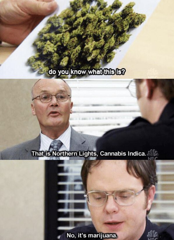 DwightSchrute_'s tweet photo. this scene is even better now 😂 https://t.co/WFxzbBhN6l