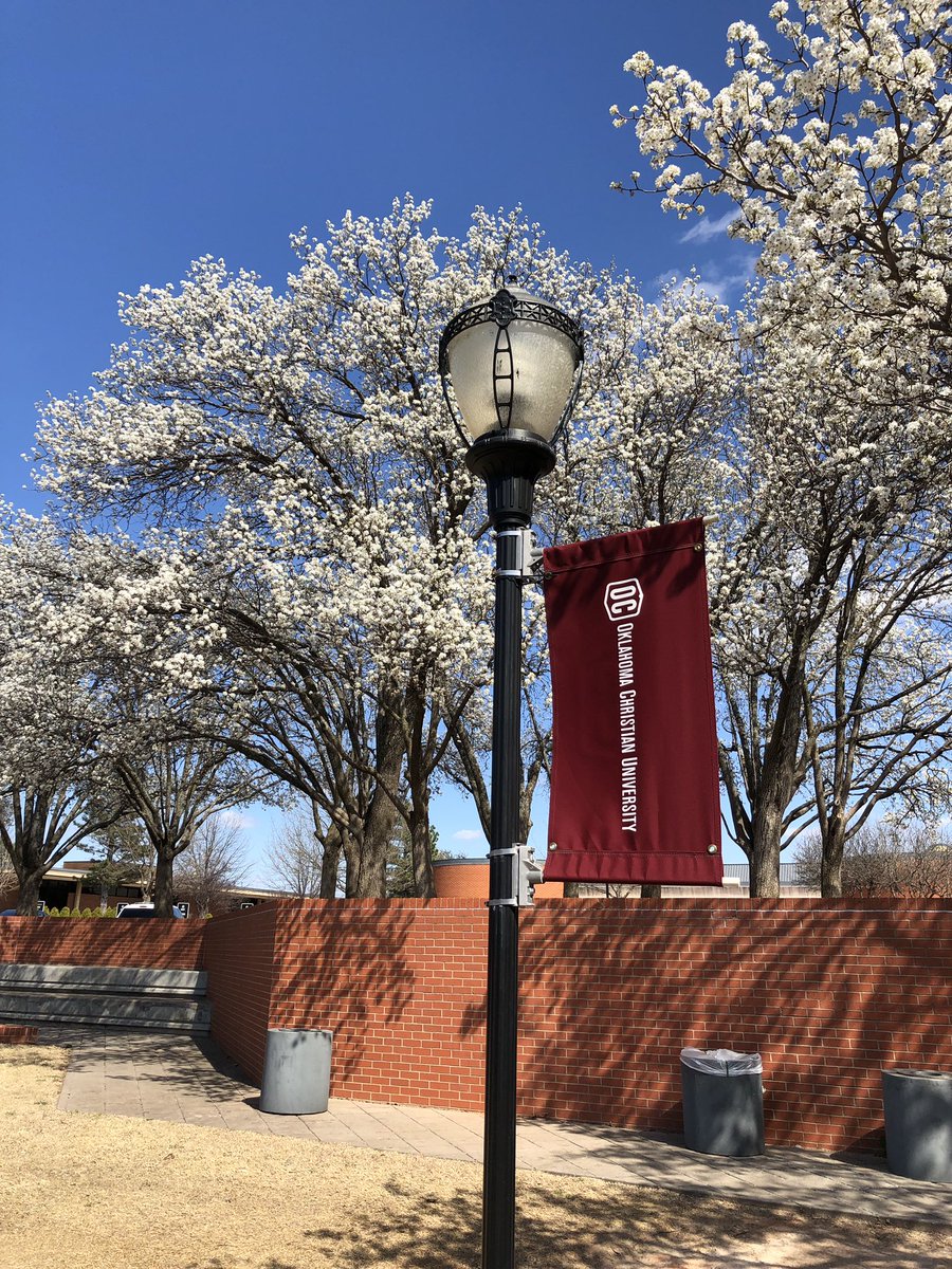 NeilArter's tweet photo. @okchristian students, here is to hoping that these beauties still have a good smell when you get back! #fish #ocspring https://t.co/nXtIs8HMvv