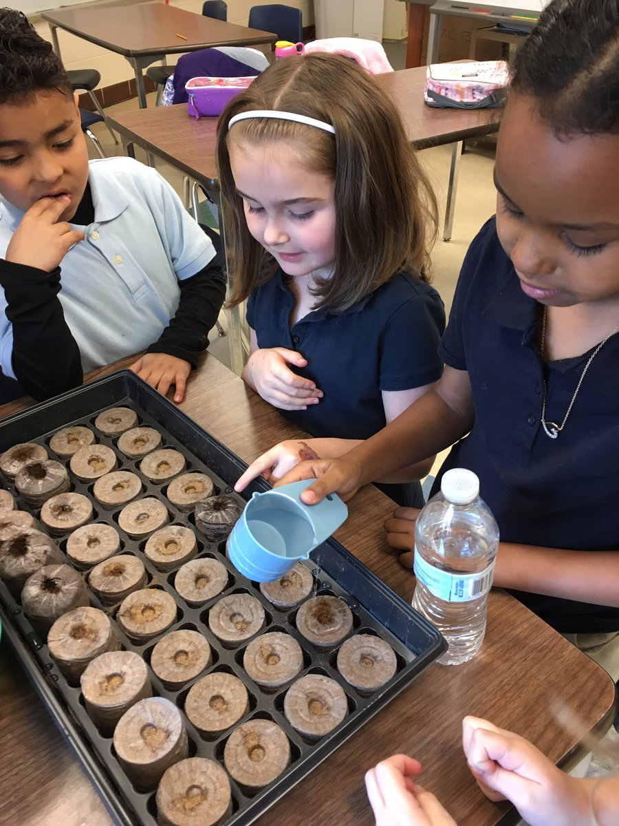 jdooleynoted's tweet photo. @ChristinaK12 #SmithES #AAP students planted out @Tomatosphere seeds from space today. Can’t wait to see how the space seeds’ growth compares to the control group! https://t.co/6oYXMKLhdn