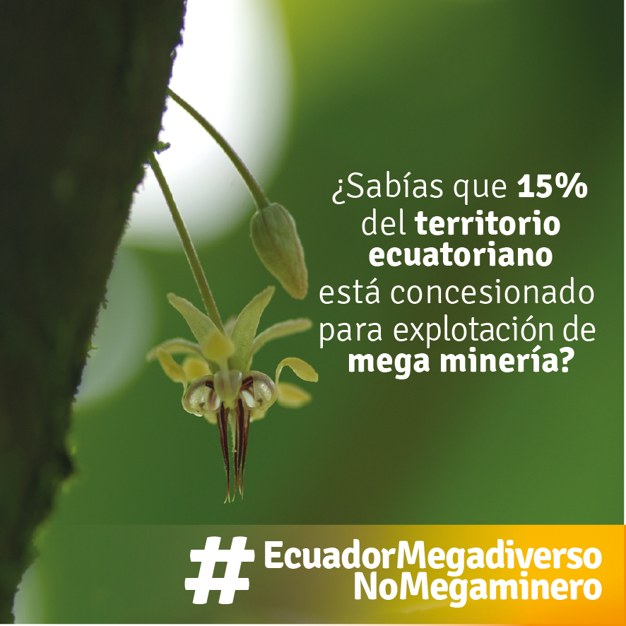 KstillitoS's tweet photo. @ConsultaGiron #DefensaDeKimakocha es VINCULANTE. Pueblos d #EcuadorMegadiverso cuyo 15% de territorio donde estân las fuentes de #AguaQueDaVida y las #ComunasQueAlimentan se ha dado al #FestinMinero, apoyan en @ResistenciaEC: @IntagV @QuitoSinMineria @ShuarArutamEC @pueblos_sur https://t.co/k5XjdXmfGr