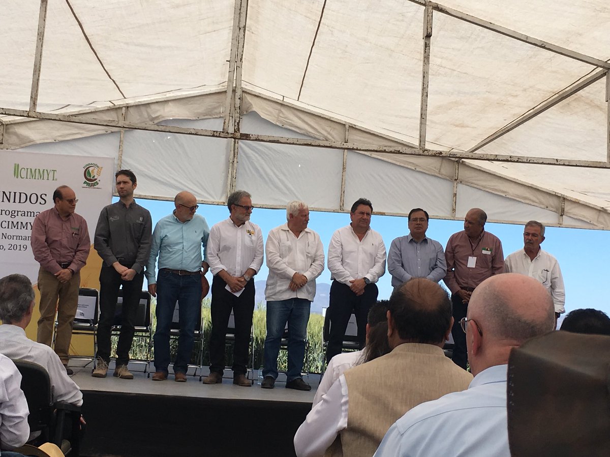 ASTINews's tweet photo. Sec. Victor Villalobos Mexican Minister of Ag and other dignitaries visiting Obregon @cimmyt #wheatcrp https://t.co/8g9yk8OvSp