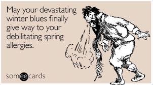 PioneerResa's tweet photo. Happy First Day of SPRING folks! #firstdayofspring #springinGeorgia https://t.co/DkaQsRtktN