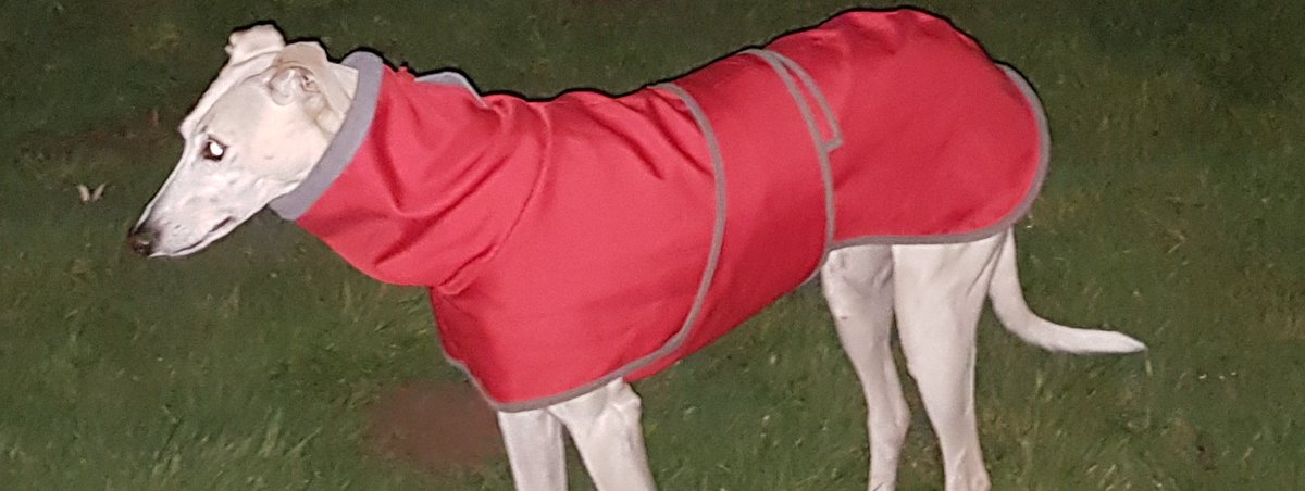 Isilda Almeida tweet media