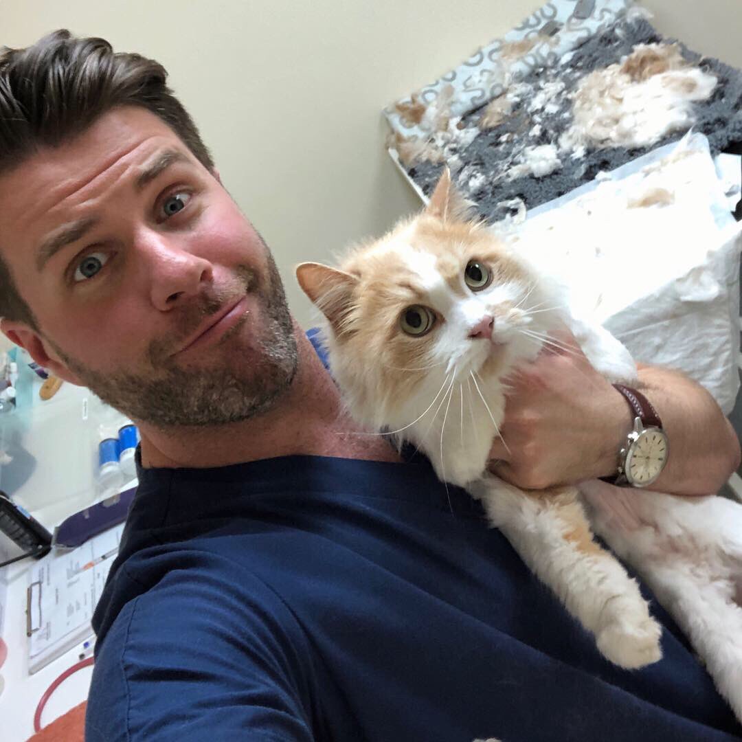drjgreenwood's tweet photo. Vet or barber ?? ๐ค (I think Iโll stick to vet .... ๐๐คฃ) #veterinary #sickfade #CatsOfTwitter https://t.co/gvMMjSQfhE