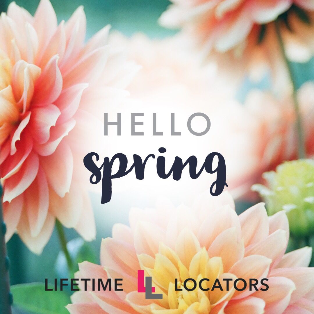 Lifetime Locators tweet media