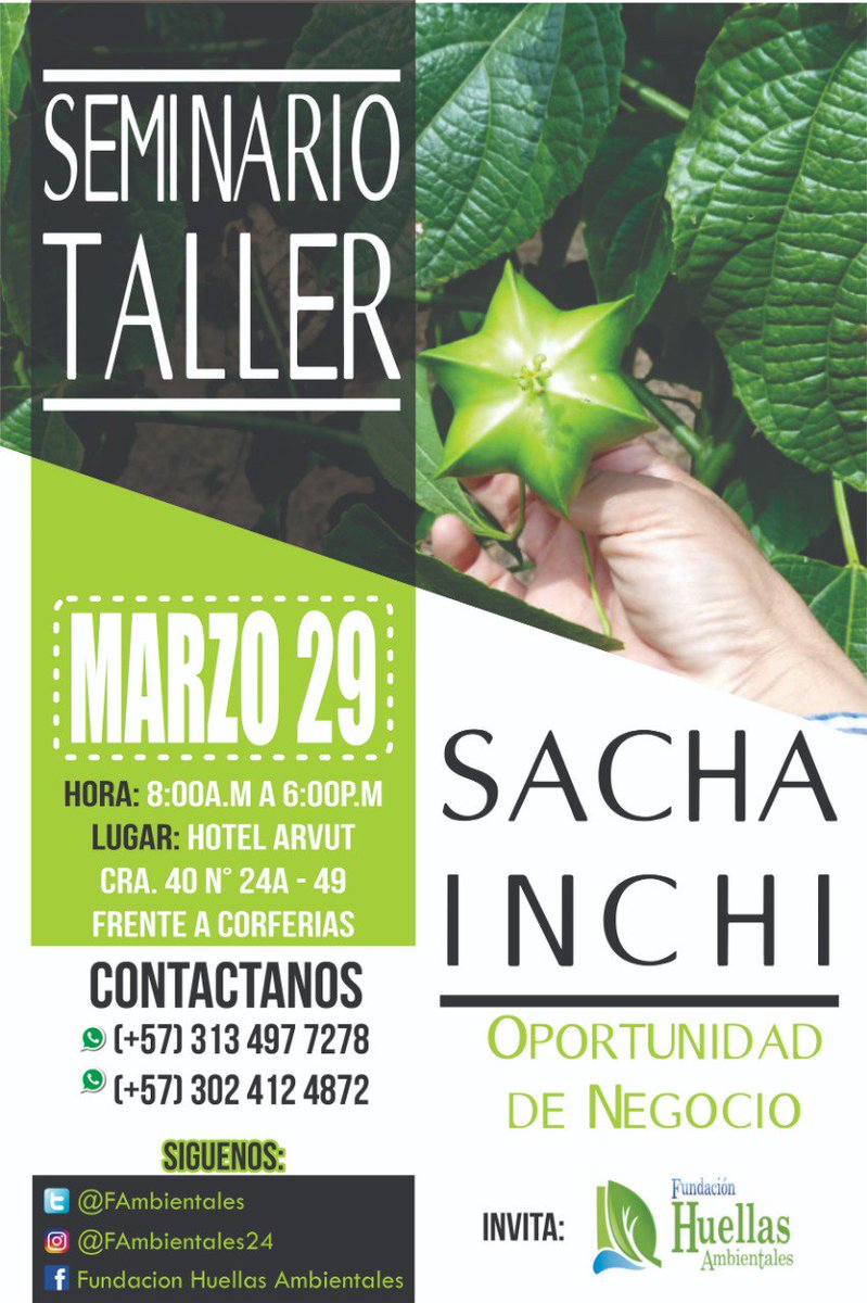 Sabía usted que hay un producto que combate el cansancio, stress, agotamiento nervioso o mental, asma, artritis y
osteoporosis. Así es el aceite de #Sacha Inchi. podrás aprender de esto el próximo 29 de marzo en nuestro seminario Sacha Inchi un negocio rentable.