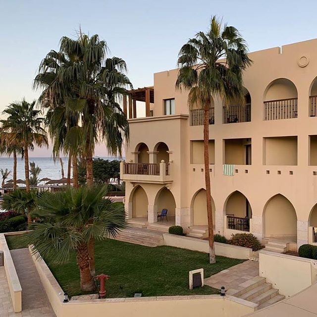 Gin_des_Lebens's tweet photo. Ein kleiner Vorgeschmack auf unser Hotel in #Jordanien das @talabayresort {Werbung} das wir euch demnächst noch genauer vorstellen! #aqaba #akaba #talabay #talabayresort #jordanienreise #urlaub #rotesmeer #visitjordan #tipps #petra #petrajordan #jordani… https://t.co/nyAnIUgF4n https://t.co/6uytLqBJO2