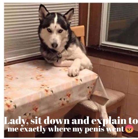 ProNub7's tweet image. 