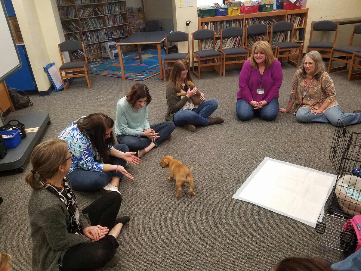 MrsDelVittoJW's tweet photo. A huge shout out to Pet Search for providing pet therapy for JW's March stress free faculty and staff workshop! We loved it and truly thankful! #petsearchpa 🐈🐱🐺🐩🐶🐕 https://t.co/EFp4JeMuMn
