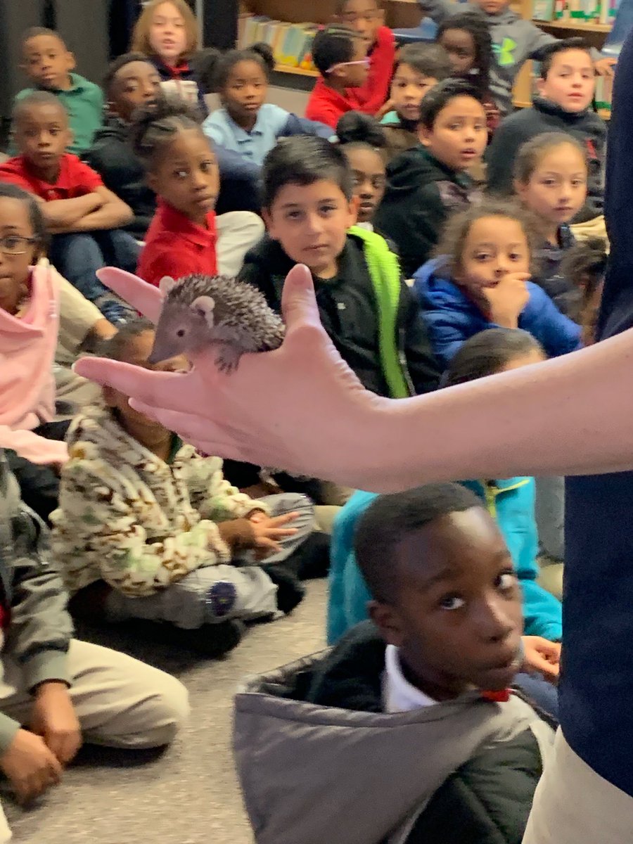 lovinglibrarian's tweet photo. Zoo animals visit Clay today! https://t.co/iS7KxSxKS4