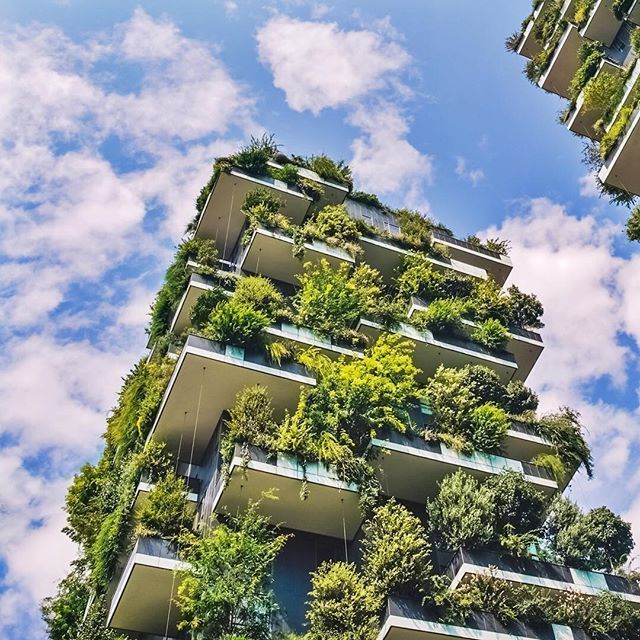 Greening our cities can improve our well-being and make #cities cleaner and happier places to live. 🌳🌲 

#sustainability