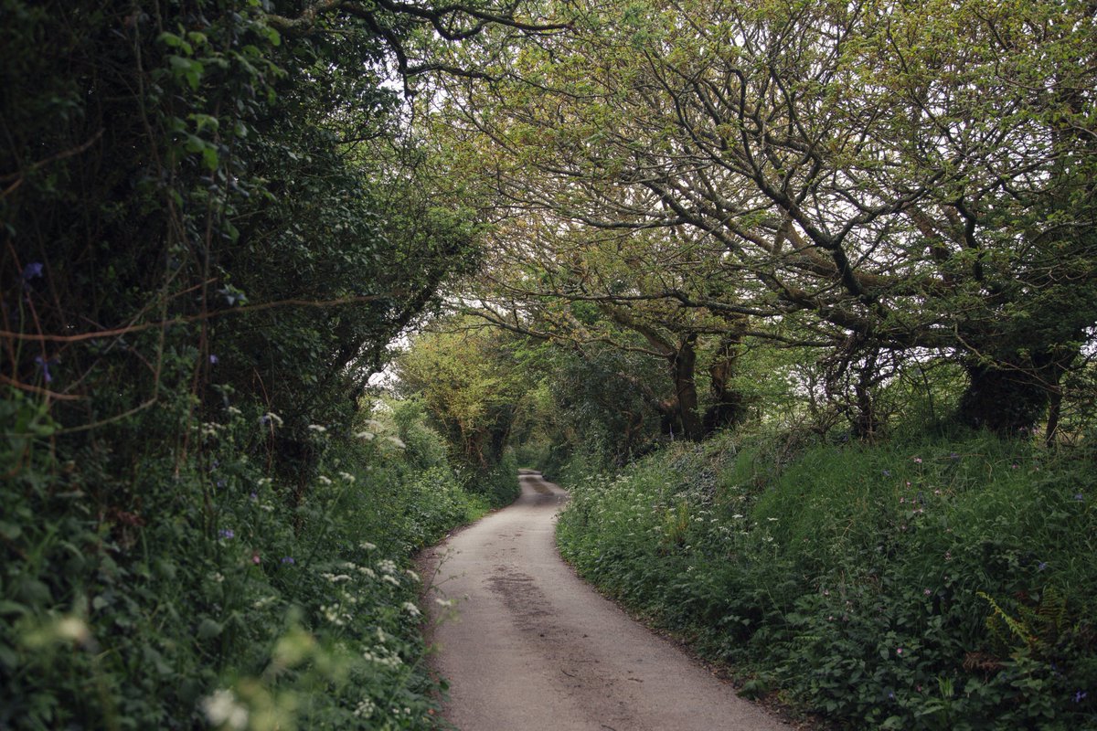 fieldconnect's tweet photo. What does your path toward digital transformation look like? Context is important to the journey! https://t.co/mnu7fxf5wA #DigitalTransformation #fieldservice https://t.co/pcbNdd2mSM