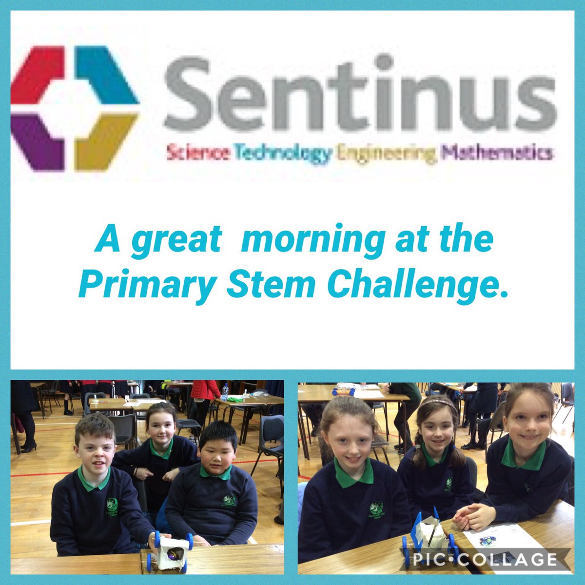 Clea Primary School tweet media