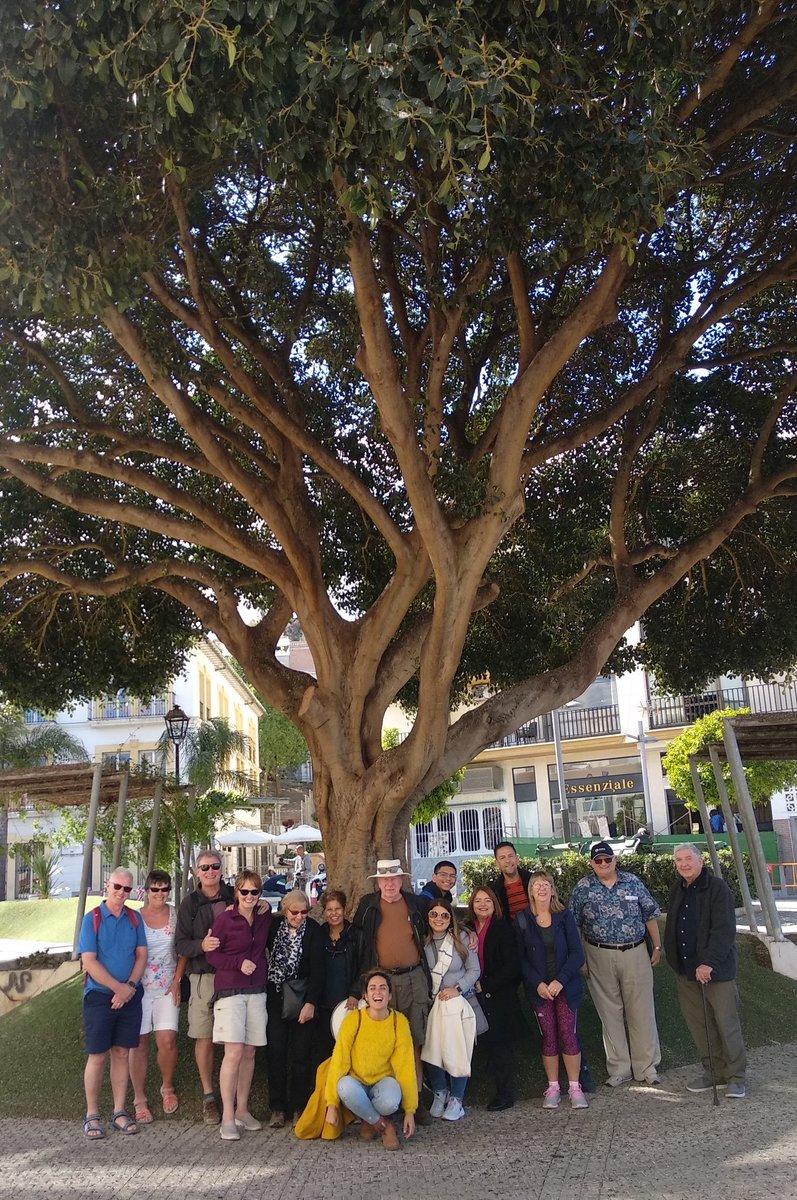Estefania_Osc's tweet photo. Day #full of #adventures in #Álora #experience #ExperiencePlus #DiamondResorts #StayVacationed @ActivitiesEu #acttiv #Letusentertainyou #takingfunseriously #family #SaharaSunset #smiles #yellow https://t.co/pmN2lZvwZ3
