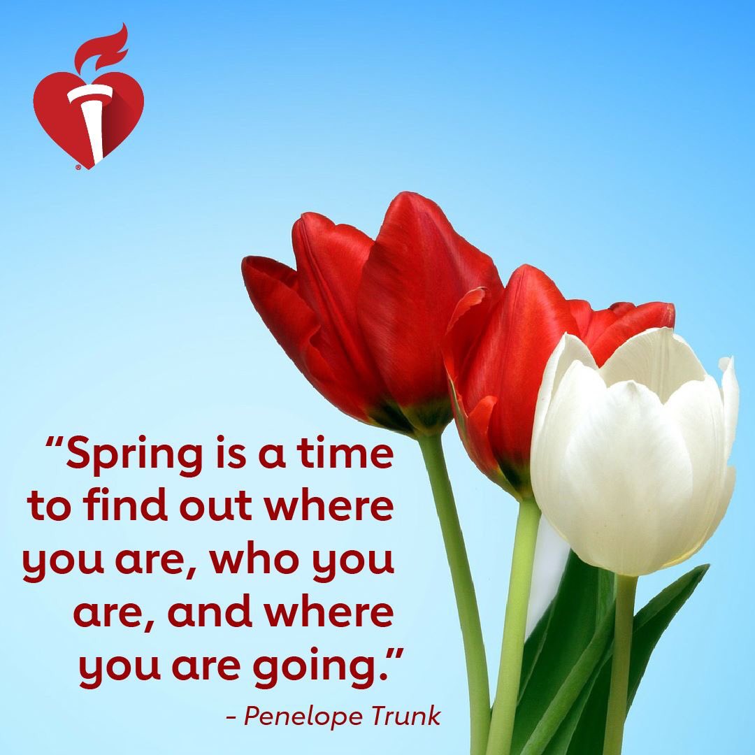 HealtheHeartAlliance (@h_eha) on Twitter photo 