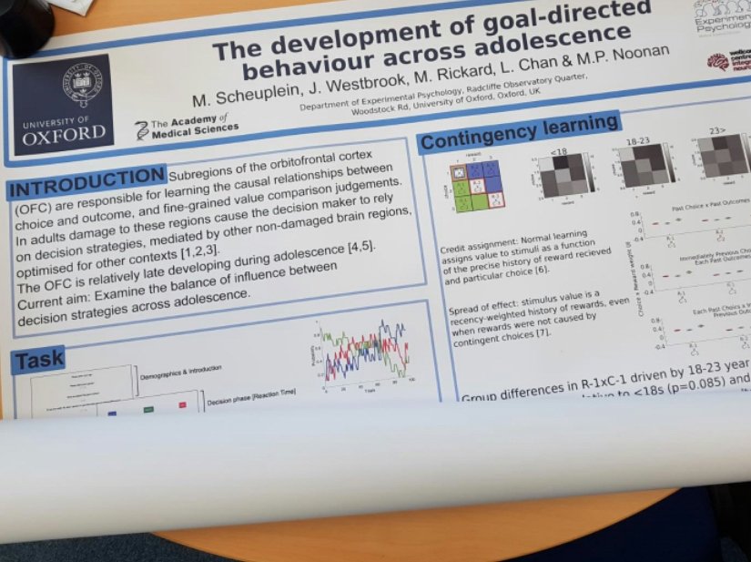 NoonanMP's tweet photo. That's a wrap for the developing brain! Stimulating conference from the @acmedsci #devbrain19 https://t.co/MUZMiwJUIv