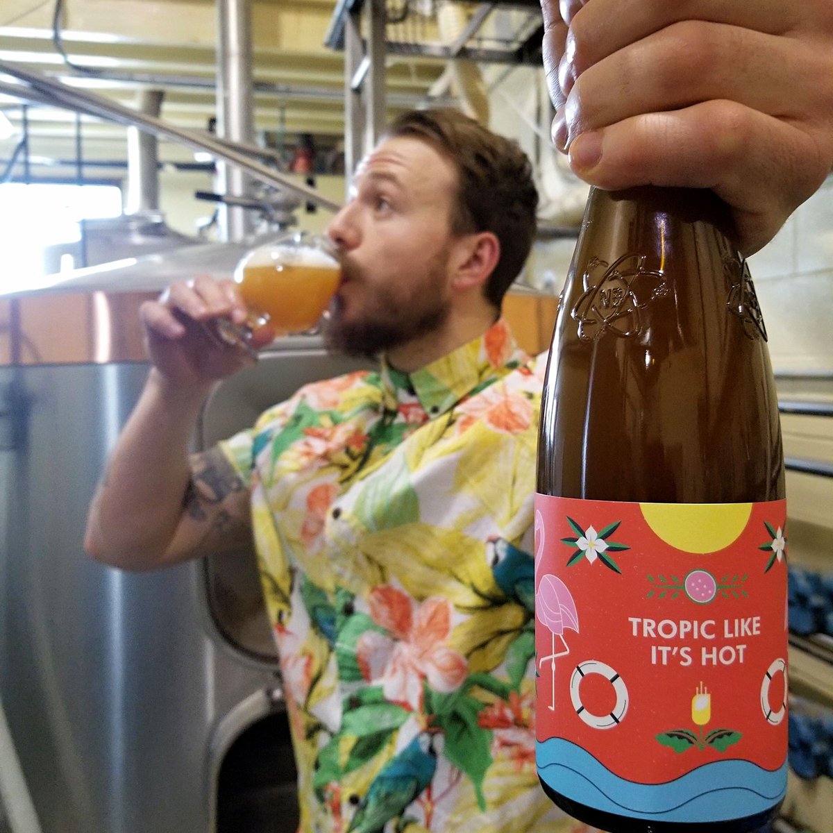 NickelBrookBeer's tweet photo. Tropic Like It's Hot has arrived in our Bottle Shop, Tap Room, and Online Store! This Citra Dry-Hopped IPA drinks like juice thanks to the massive addition of Mango, Papaya, and Guava. https://t.co/HXpt5IeiXn #oncraftbeer #nickelbrook #funklab #craftbeer #craftbeeron https://t.co/L1LgIqq0dd