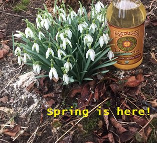 Cheers!!  #firstdayofspring 🌻🌼🥀