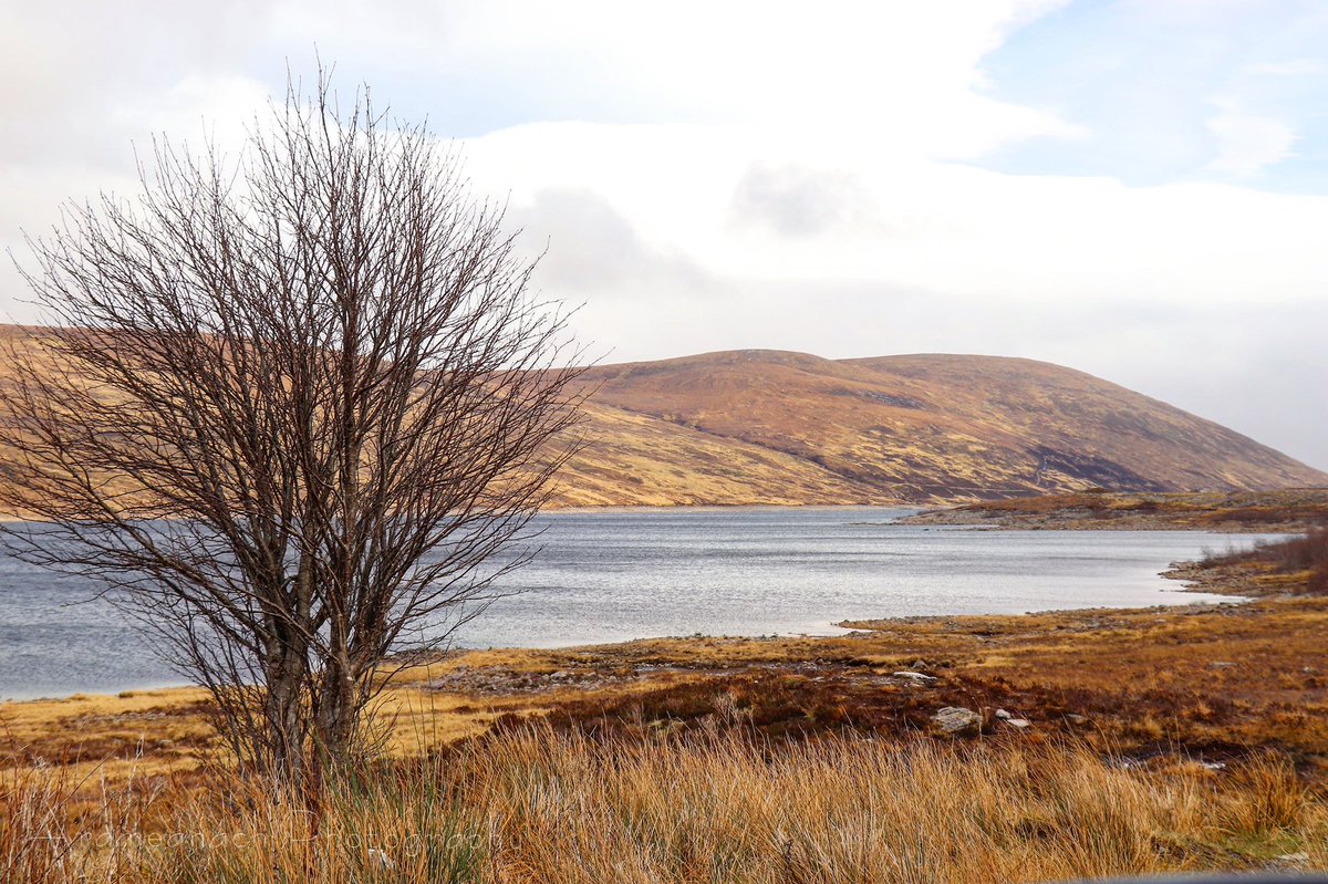 Loch Glascarnoch. #scottishhighlands #scottishlochs #landscapephotography @Zararugosa
