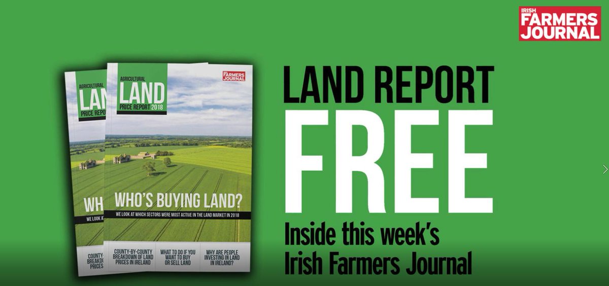 Jamie Leonard tweet media