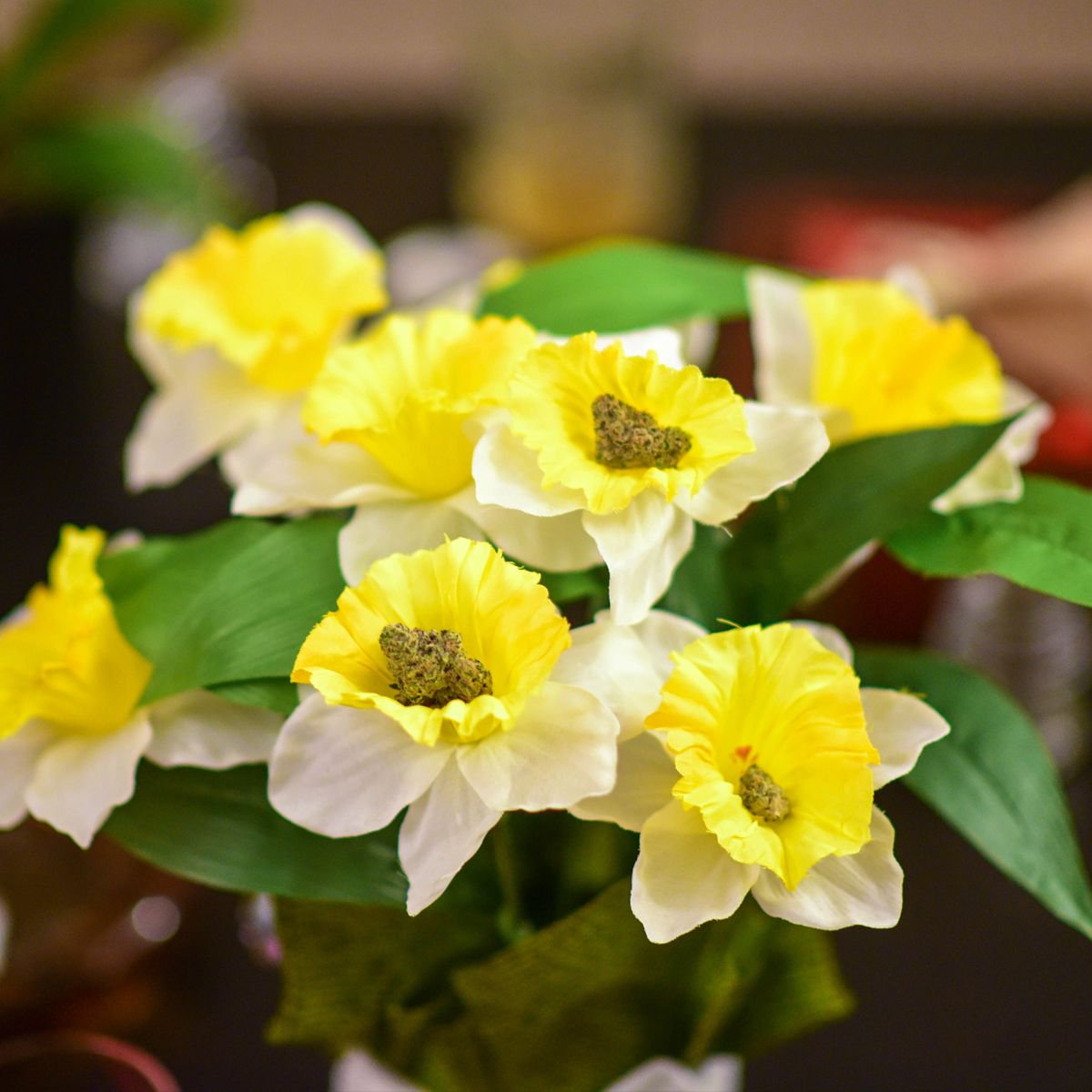 M_Delivers's tweet photo. Happy first day of spring, buds! 🌼🌱☀️ #firstdayofspring #spring #cannabiscommunity #cannabisculture #marijuanamovement https://t.co/qKVEY1uvLs