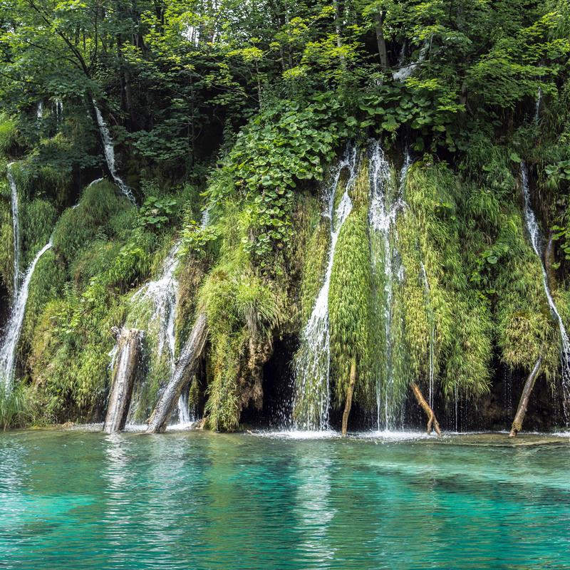 TheLivelyForest's tweet photo. Spring Waterfalls #refreshing #firstdayofspring https://t.co/ZUsSI39M8r
