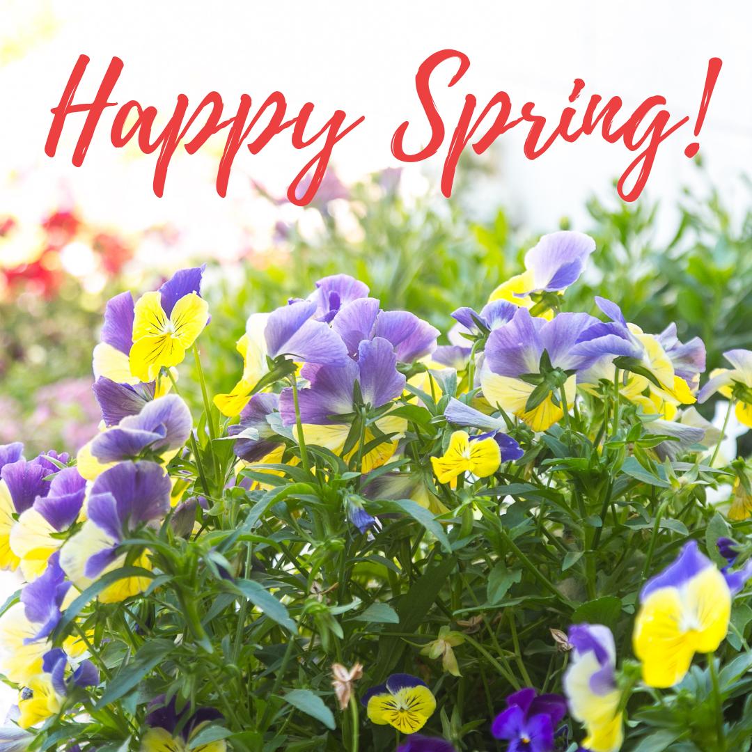 WestShoreULock's tweet photo. It’s the first day of spring! ☀️ The season of plans and projects and perfect time to get your home feeling fresh and clutter-free. What are your plans for spring?⁣ #happyspring https://t.co/CACAC7eRq6