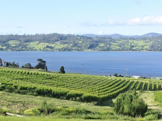 Wine Tasmania (@winetasmania) on Twitter photo Take a taste-led trip through the Tamar
buff.ly/2unH5oh
#TassieWine <a href="/sinapius/">sinapius</a> <a href="/stoneyrise/">Joe Holyman</a> <a href="/Pipersvineyard/">Pipers Brook</a> Take a taste-led trip through the Tamar
buff.ly/2unH5oh
#TassieWine <a href="/sinapius/">sinapius</a> <a href="/stoneyrise/">Joe Holyman</a> <a href="/Pipersvineyard/">Pipers Brook</a>