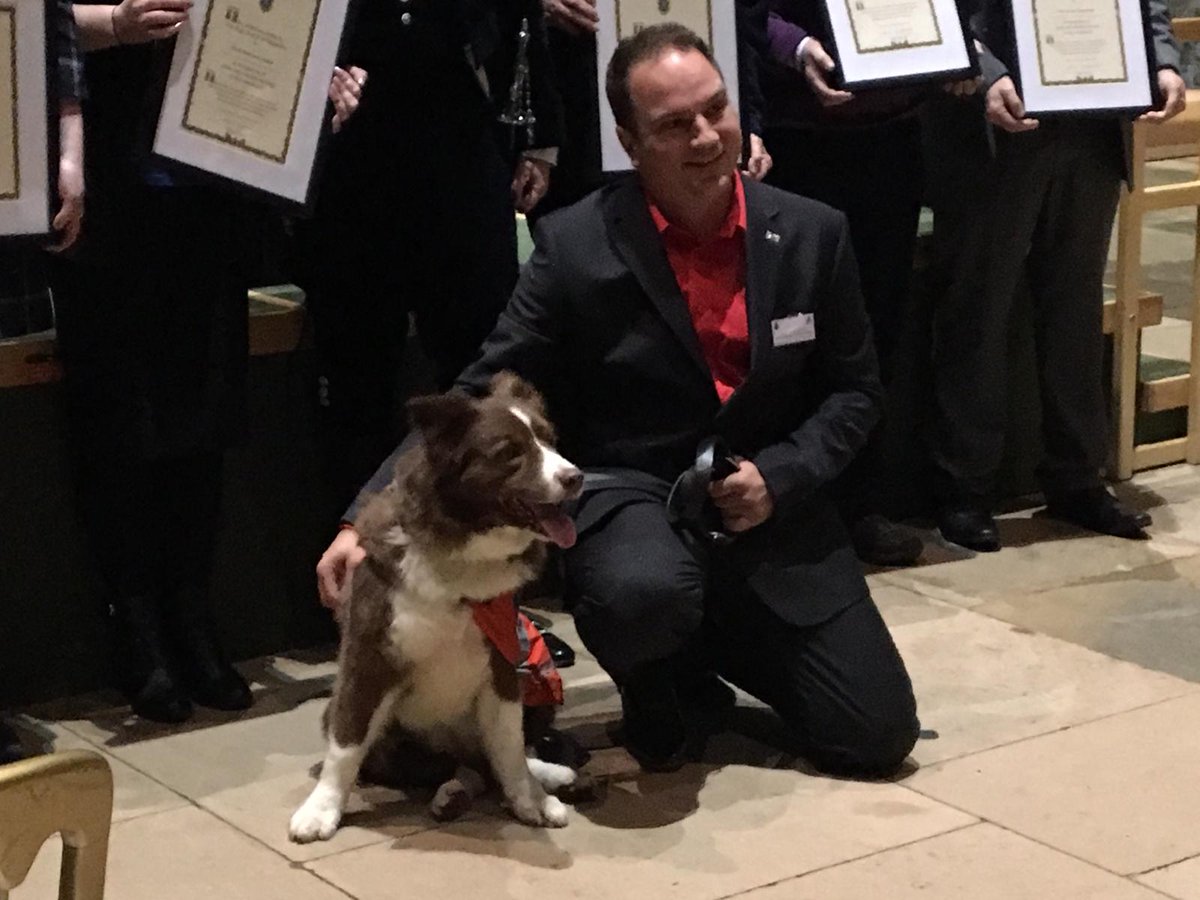 Search Dogs Zak & Rusty tweet media